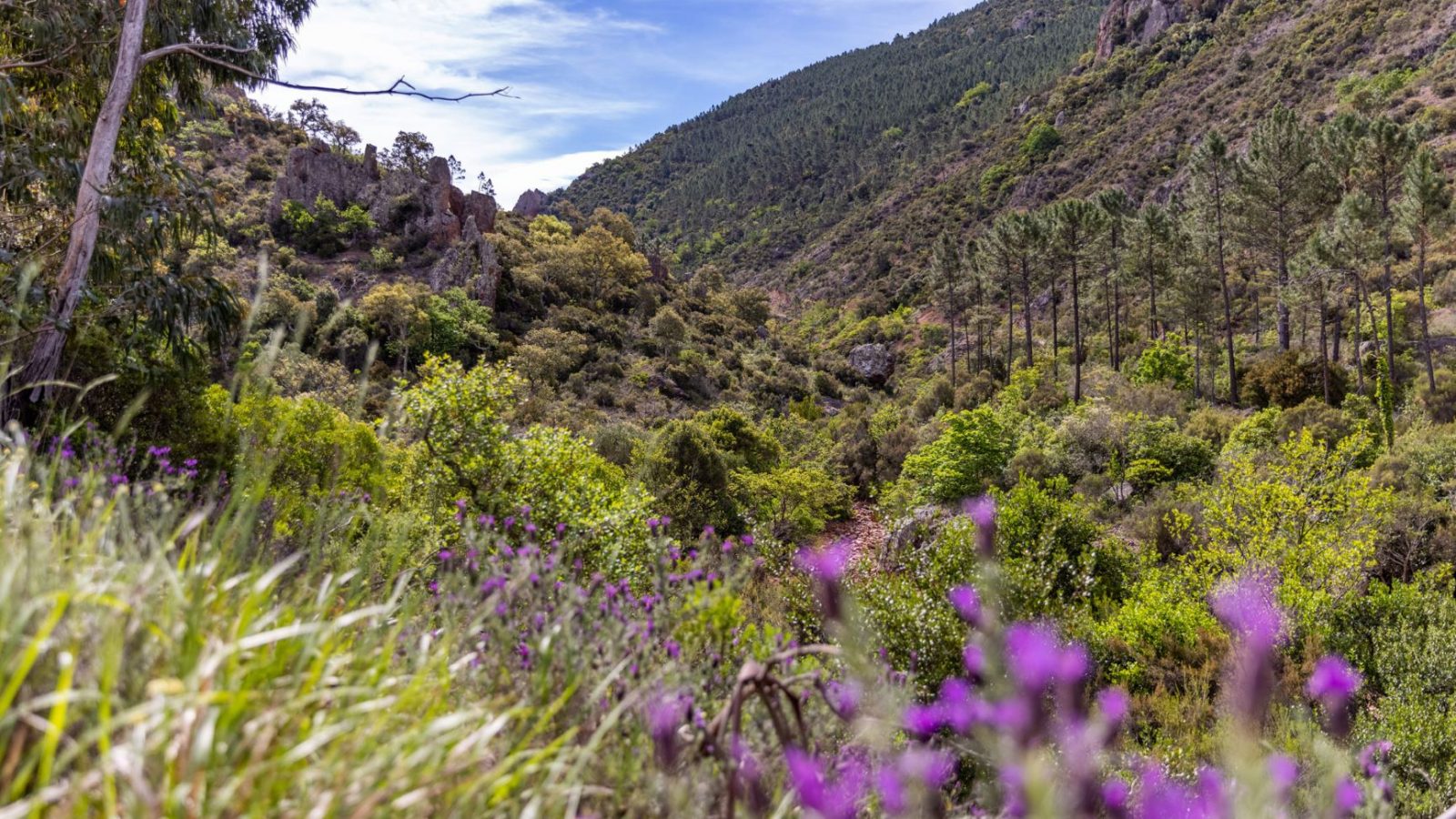 Les circuits les mieux notés