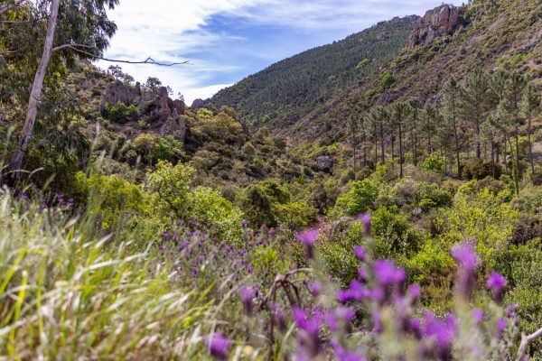 Les circuits les mieux notés
