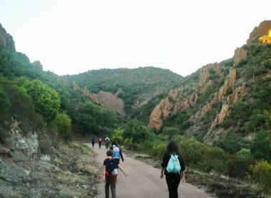 Découvrez la randonnée du brame du cerf