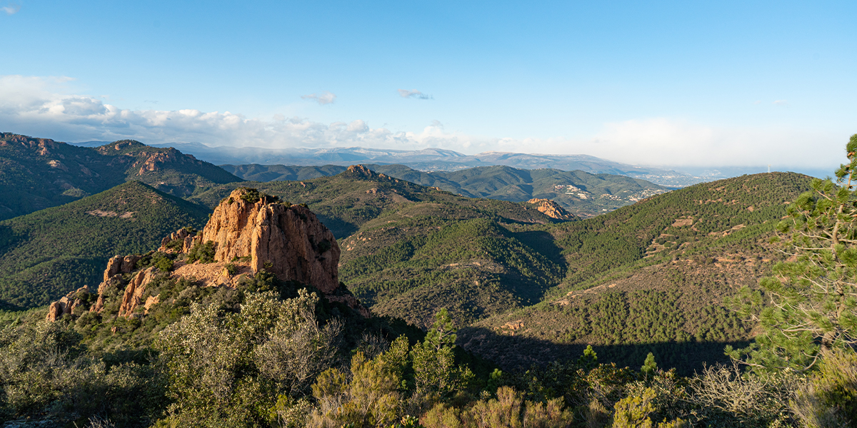 Couverture regles de bonne conduite