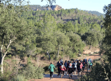 Initiation au trail : conseils pour débuter sur les sentiers locaux