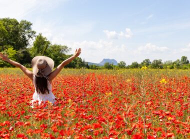 Randonnée botanique en Estérel Côte d’Azur : découvrez la flore printanière