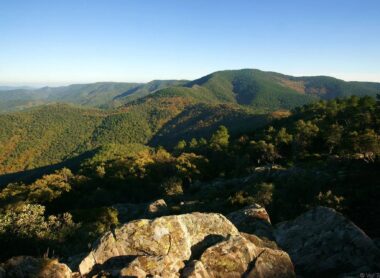 Balade au cœur des forêts d’Estérel Côte d’Azur