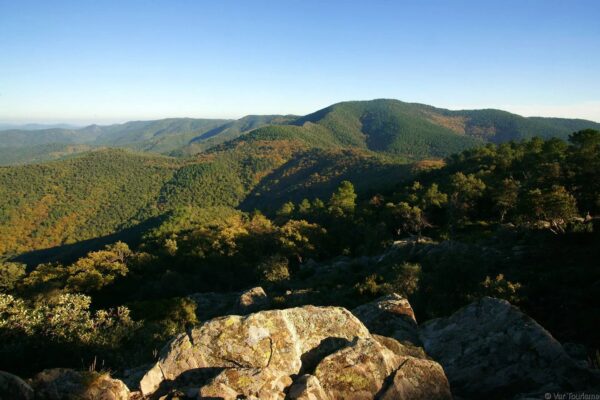 Balade au cœur des forêts d’Estérel Côte d’Azur