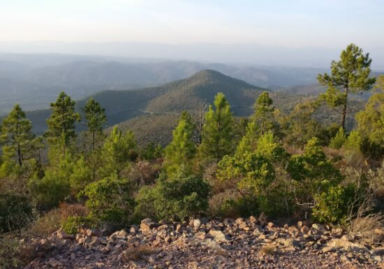 Randonnée : Le Mont Aigre