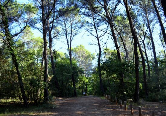 Circuit VTT : Cross-Country du Défens