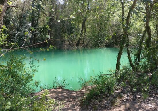 Trail – Parcours NaturaTrail du Pays de Fayence (21km)