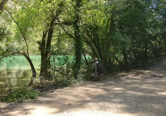 Trail – Parcours NaturaTrail du Pays de Fayence (21km)