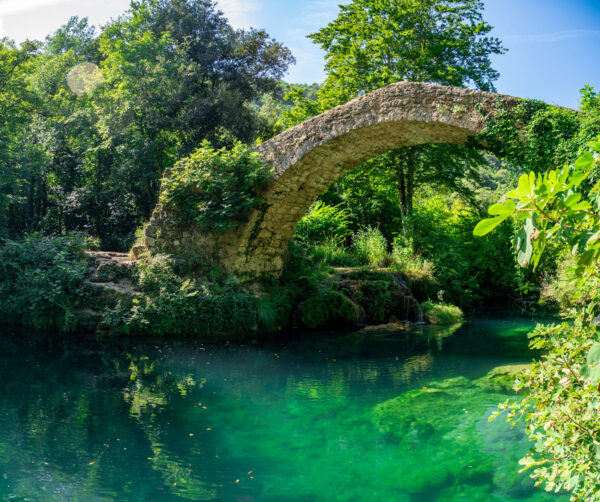Trail – Parcours NaturaTrail du Pays de Fayence (21km)