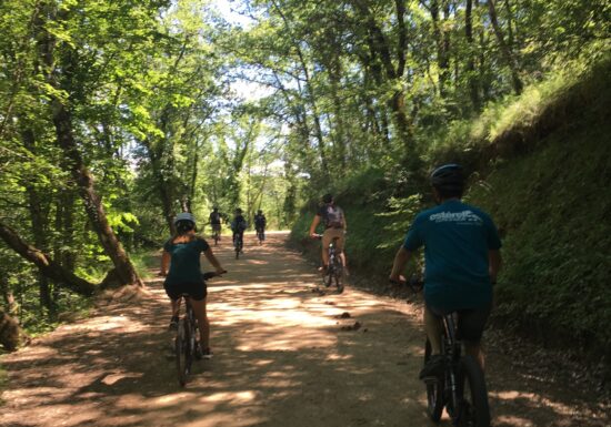 Circuit VTT : Cross-Country du Défens