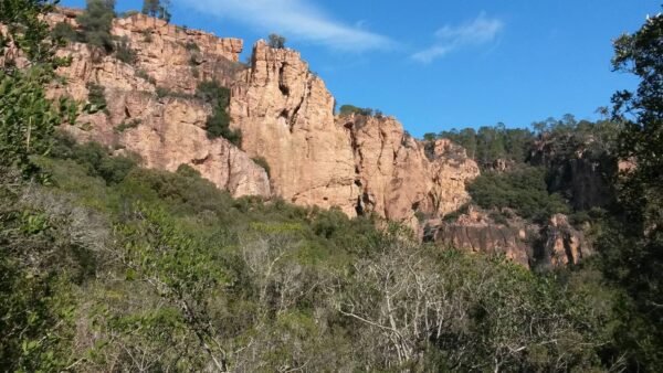 Trail : Trail des Mange Lamberts