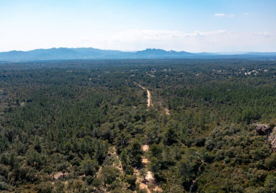 Randonnée : Sentier des Meulières