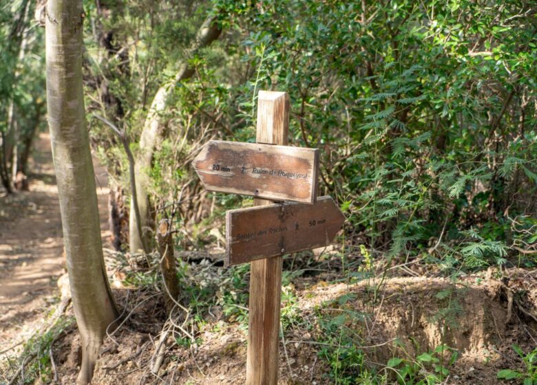 Randonnée Nature – Le sentier du Mimosa – Vallon de la Gaillarde