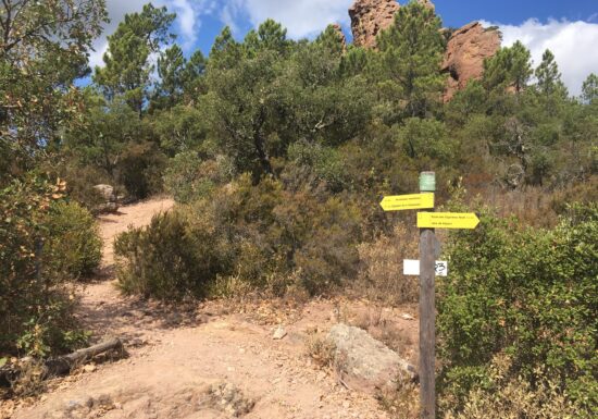 Promenade  La Pierre du Coucou – Bagnols-en-Forêt