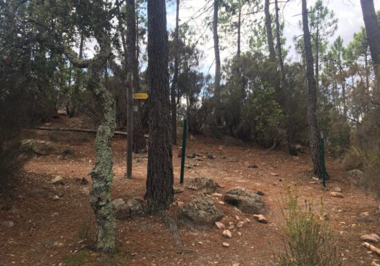 Promenade  La Pierre du Coucou – Bagnols-en-Forêt