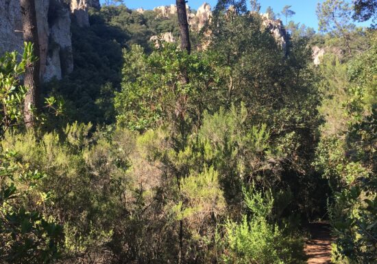 Promenade : Les Gorges du Blavet – Bagnols-en-forêt
