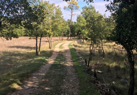 Promenade : Les Bories – Seillans