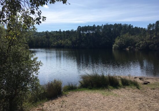 Promenade : Le Lac du Rioutard – Saint-Paul-en-Forêt