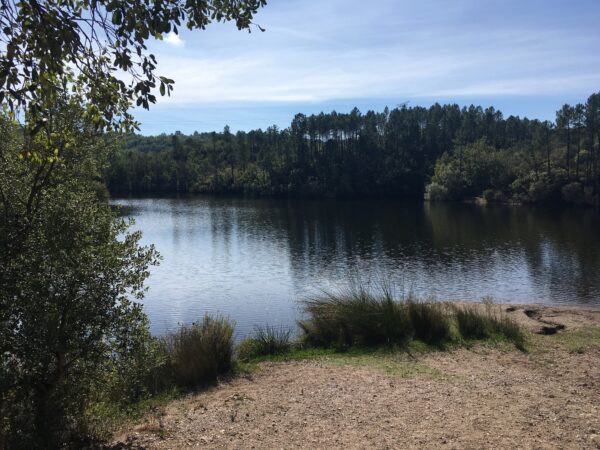 Promenade : Le Lac du Rioutard – Saint-Paul-en-Forêt