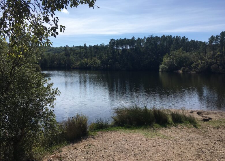 Randonnée : Le Lac du Rioutard – Saint-Paul-en-Forêt
