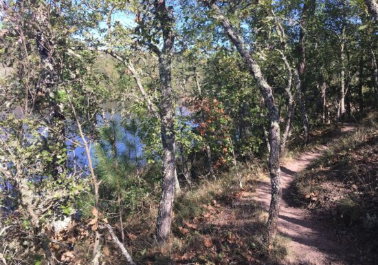 Promenade : Le Lac du Rioutard – Saint-Paul-en-Forêt