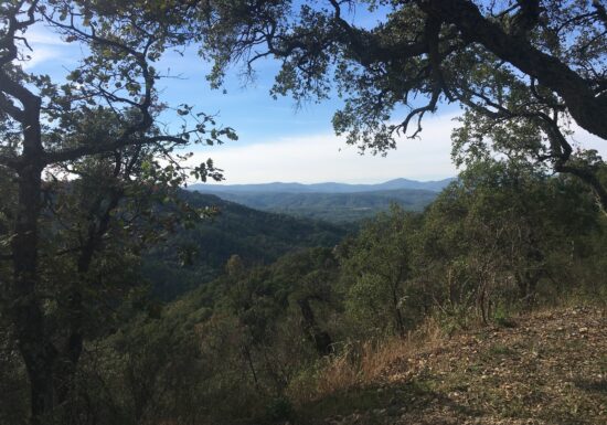 Promenade : La Forêt Royale – Saint-Paul-en-Forêt