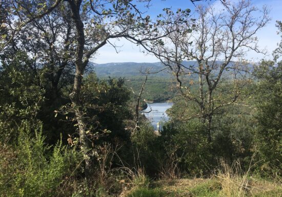Promenade : La Forêt Royale – Saint-Paul-en-Forêt