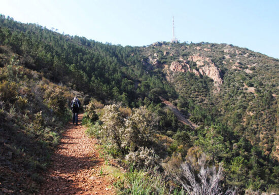 Randonnée : Le Pic de l’Ours