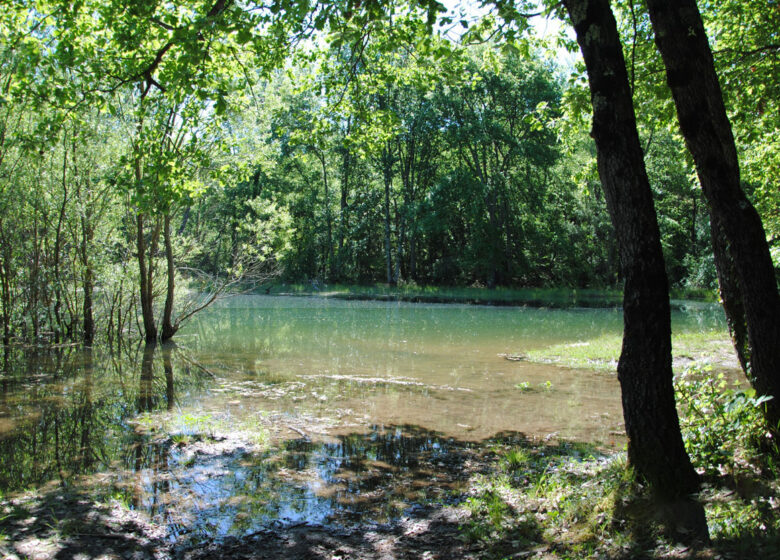 Randonnée : Découverte du Biotope de Fondurane – Montauroux