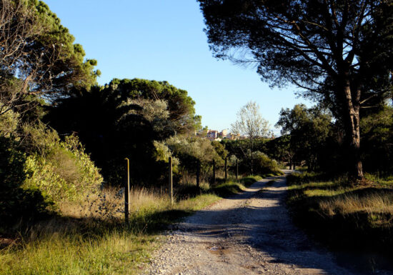 Randonnée : Chemin de Compostelle