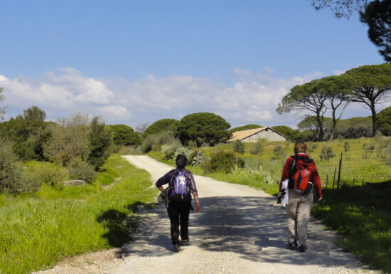 Randonnée : Chemin de Compostelle