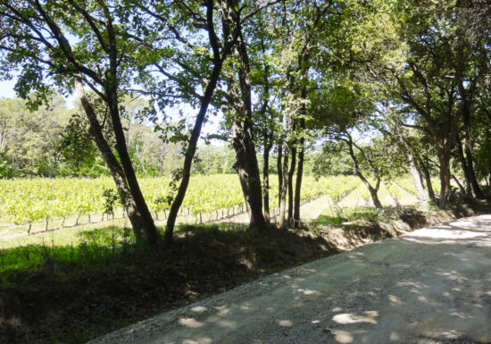 Randonnée : Chemin de Compostelle