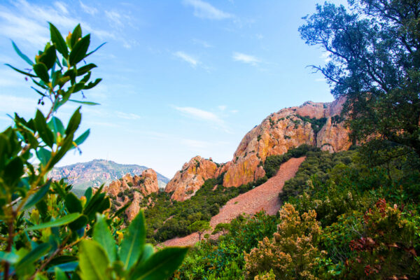 Randonnée : Les balcons du Cap Roux (Estérel)