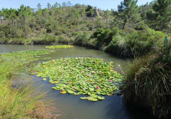 Randonnée : L’Étang d’Aubert