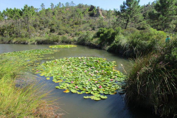Randonnée : L’Étang d’Aubert