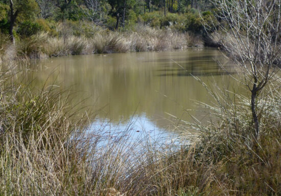 Randonnée : L’Étang d’Aubert