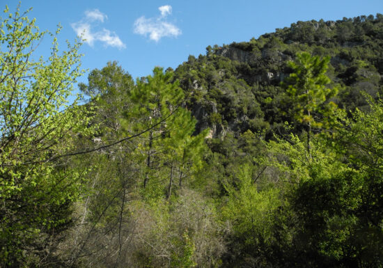 Circuit VTT : Cross-Country du Défens