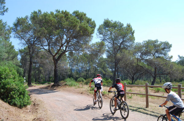 Circuit VTT : De la forêt de la Colle du Rouet au Défens
