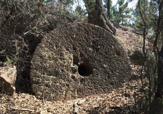 Randonnée : Sentier des Meulières