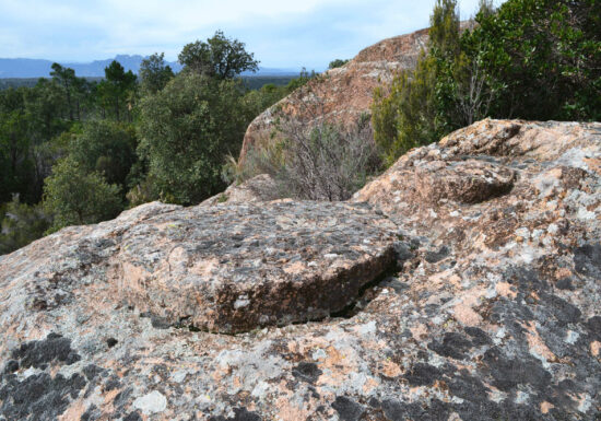 Randonnée : Sentier des Meulières