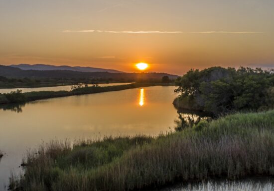 Randonnée : Les Étangs de Villepey