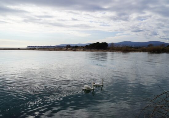 Randonnée : Les Étangs de Villepey