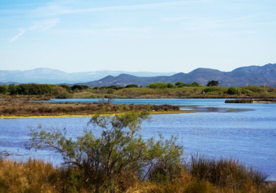 Randonnée : Les Étangs de Villepey