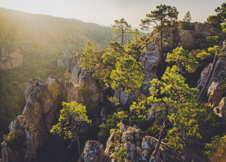 Gorges du Blavet