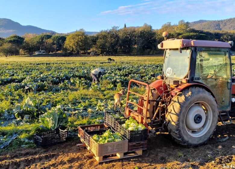 Les Producteurs de la Grande Bastide
