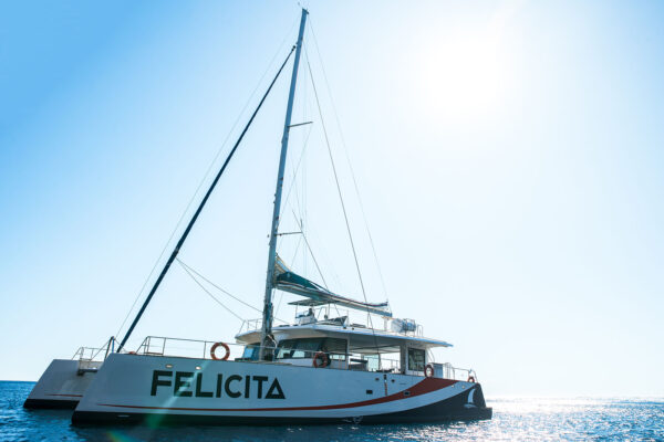 Sortie catamaran journée Iles de Lérins