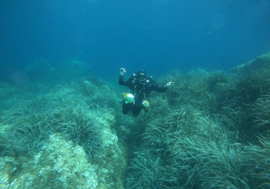 Baptême de Plongée