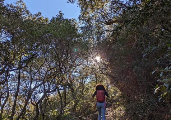 Randonnée : Panorama du Perthus Occidental