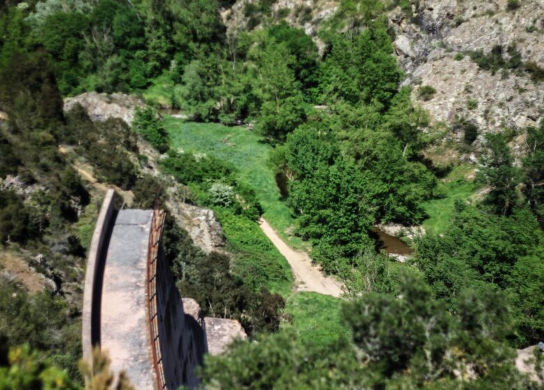 Barrage de Malpasset