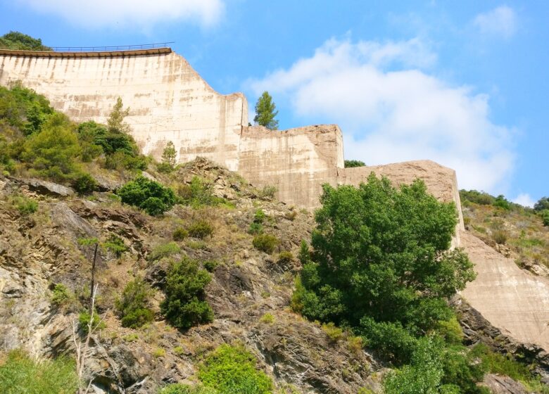 Barrage de Malpasset